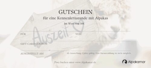 Alpakamar Gutschein für eine Kenenlernstunde