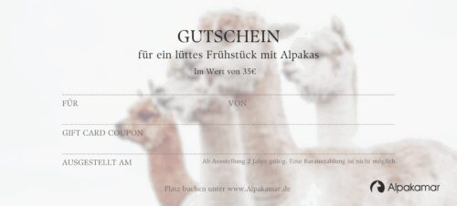 Alpakamar Gutschein Frühstück